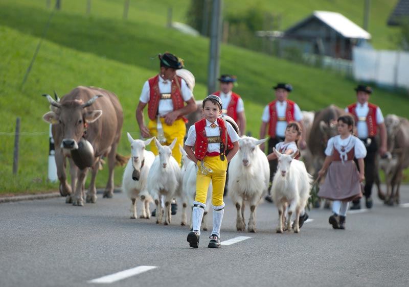 Graf Touren Toggenburg / Appenzell