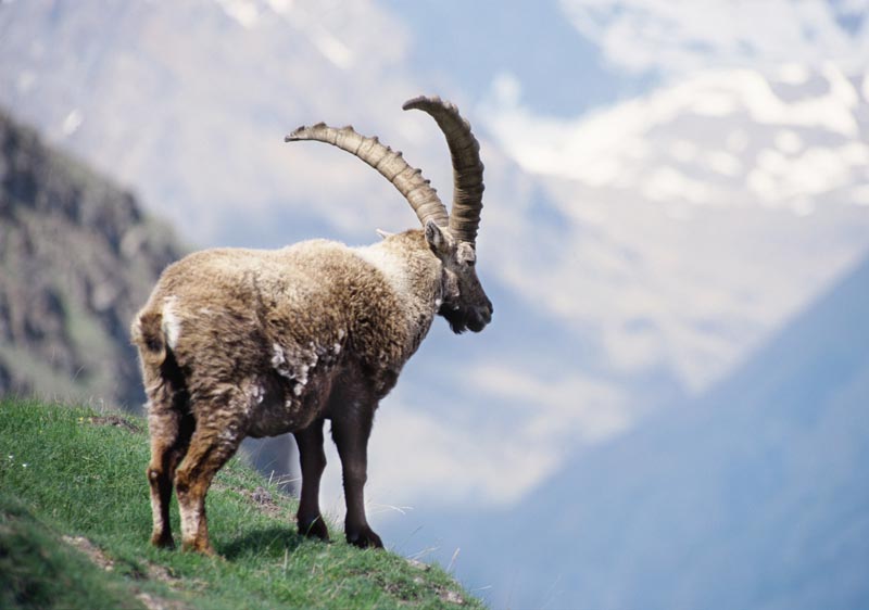 Graf Touren Wergenstein